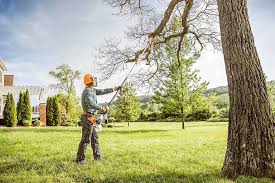 Best Weed Control  in Coleraine, MN